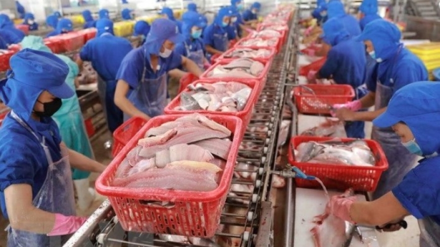 Seafood exports to Brazil soar, topping all markets in first half of 2025